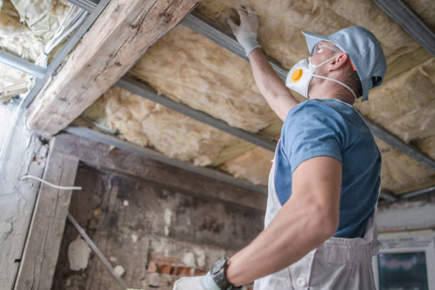 Best Geographic-Specific Insulation Services in Heath, OH