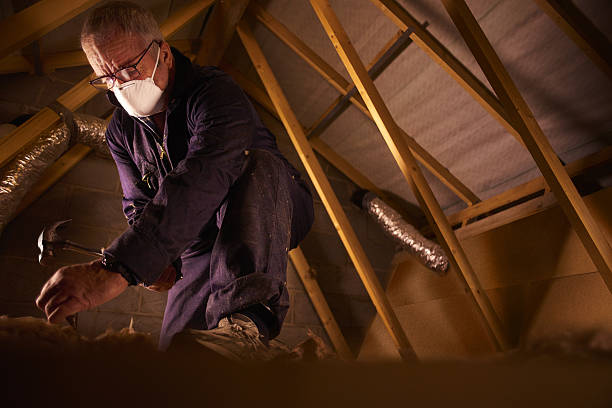 Best Insulation Maintenance and Repair in Heath, OH